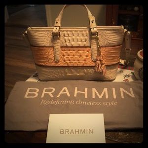 Brahmin - Mini Asher (Rose)